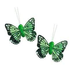AussieSuperStore Art & Craft Essentials Lime Critters Butterfly Feather 4cm (in 6 colours) Critters Butterfly Feather 4cm (in 6 colours) | Craft Party Embellishment 9323823161088 CRIT025