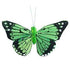 AussieSuperStore Art & Craft Essentials Lime Critters Butterfly Feather 8cm (in 4 colours) Critters Butterfly Feather 8cm (in 4 colours) | Craft Party Embellishment 9323823161026 CRIT032