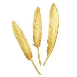 AussieSuperStore Art & Craft Essentials Metallic Gold Goose Feathers (in 2 colors) Goose Feathers (in 2 colors) | Artificial Craft Feathers 9331468057628 VCF40