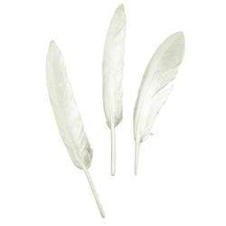 AussieSuperStore Art & Craft Essentials Metallic Silver Goose Feathers (in 2 colors) Goose Feathers (in 2 colors) | Artificial Craft Feathers 9331468057635 VCF41