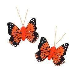 AussieSuperStore Art & Craft Essentials Orange Critters Butterfly Feather 4cm (in 6 colours) Critters Butterfly Feather 4cm (in 6 colours) | Craft Party Embellishment 9323823161064 CRIT026