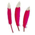 AussieSuperStore Art & Craft Essentials Pink Goose Feathers with Glitter Tip (in 4 colors) Goose Feathers with Glitter Tip (in 4 colors) | Artificial Craft Feathers 9331468057567 VCF44