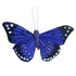 AussieSuperStore Art & Craft Essentials Purple Critters Butterfly Feather 8cm (in 4 colours) Critters Butterfly Feather 8cm (in 4 colours) | Craft Party Embellishment 9323823161040 CRIT034