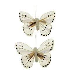 AussieSuperStore Art & Craft Essentials Spot White Butterfly 9x6cm (in 4 varieties) Butterfly 9x6cm (in 4 varieties) | Craft Animal Embellishments 9323823204495 CRIT1911