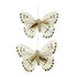 AussieSuperStore Art & Craft Essentials Spot White Butterfly 9x6cm (in 4 varieties) Butterfly 9x6cm (in 4 varieties) | Craft Animal Embellishments 9323823204495 CRIT1911