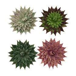 AussieSuperStore Art & Craft Essentials Vivid Succulents Vivid Succulents | Artificial Flower Party Decoration 9323823204082 BLOS19004