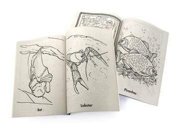 AussieSuperStore Games & Activities Planet Earth Coloring & Activity Planet Earth Coloring & Activity | Coloring & Activity book