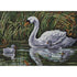 AussieSuperStore Haberdashery Supplies Swan Tapestry Design 30x40cm Swan Tapestry Design 30x40cm | Tapestries,Tapestry Wall Hangings,Interior Art Work G40.136 G40.136