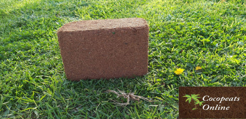 AussieSuperStore Homeware Supplies 1 kg Coir Pith or Coco Peat Low EC Blocks (in 3 sizes) Coir Pith or Coco Peat Low EC Blocks | Cocopeat Coir Pith Block | Coco Coir Block COPEL1K COPEL1K