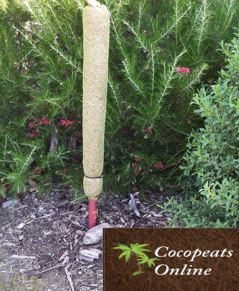 AussieSuperStore Homeware Supplies 2 feet Coco Poles for Creeper Plants (in 5 sizes) Coco Poles for Creeper Plants | Moss stick,Coir poles,Totem poles COPOCRPL2FT COPOCRPL2FT