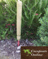 AussieSuperStore Homeware Supplies 2 feet Coco Poles for Creeper Plants (in 5 sizes) Coco Poles for Creeper Plants | Moss stick,Coir poles,Totem poles COPOCRPL2FT COPOCRPL2FT