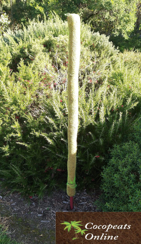 AussieSuperStore Homeware Supplies 4 feet Coco Poles for Creeper Plants (in 5 sizes) Coco Poles for Creeper Plants | Moss stick,Coir poles,Totem poles COPOCRPL4FT COPOCRPL4FT