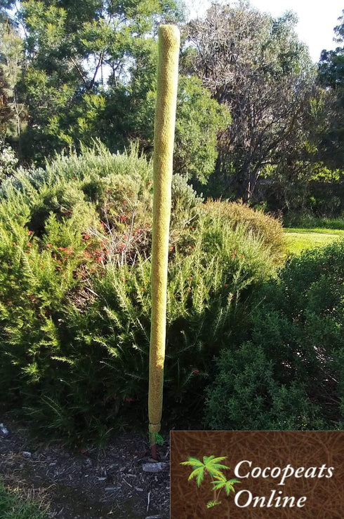 AussieSuperStore Homeware Supplies 5 feet Coco Poles for Creeper Plants (in 5 sizes) Coco Poles for Creeper Plants | Moss stick,Coir poles,Totem poles COPOCRPL5FT COPOCRPL5FT