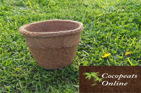 AussieSuperStore Homeware Supplies 6 inches Coco Pot Liner (in 2 sizes) Coco Pot Liner | Coco Planting Pots/Baskets | Coir Seed Germination Cups Copo6 Copo6