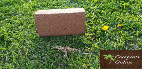 AussieSuperStore Homeware Supplies 650 gm Coir Pith or Coco Peat Low EC Blocks (in 3 sizes) Coir Pith or Coco Peat Low EC Blocks | Cocopeat Coir Pith Block | Coco Coir Block COPEL650G COPEL650G