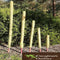 AussieSuperStore Homeware Supplies Coco Poles for Creeper Plants (in 5 sizes) Coco Poles for Creeper Plants | Moss stick,Coir poles,Totem poles