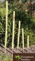 AussieSuperStore Homeware Supplies Coco Poles for Creeper Plants (in 5 sizes) Coco Poles for Creeper Plants | Moss stick,Coir poles,Totem poles