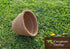 AussieSuperStore Homeware Supplies Coco Pot Liner (in 2 sizes) Coco Pot Liner | Coco Planting Pots/Baskets | Coir Seed Germination Cups