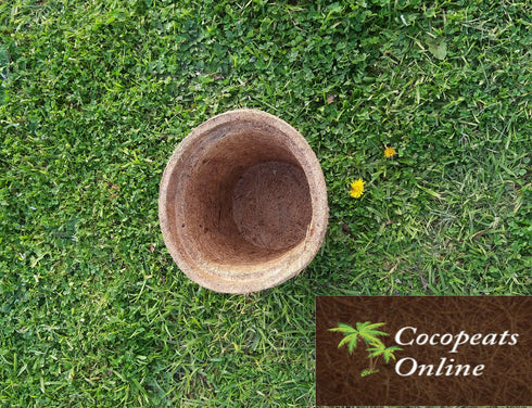 AussieSuperStore Homeware Supplies Coco Pot Liner (in 2 sizes) Coco Pot Liner | Coco Planting Pots/Baskets | Coir Seed Germination Cups