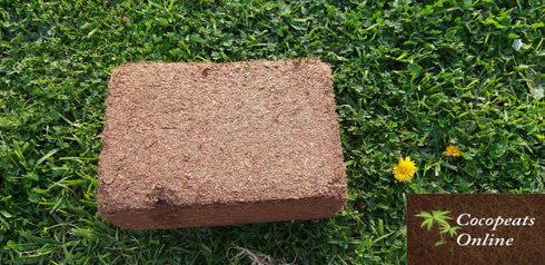 AussieSuperStore Homeware Supplies Coir Pith or Coco Peat Low EC Blocks (in 3 sizes) Coir Pith or Coco Peat Low EC Blocks | Cocopeat Coir Pith Block | Coco Coir Block