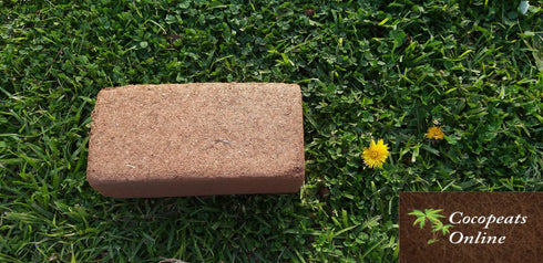 AussieSuperStore Homeware Supplies Coir Pith or Coco Peat Low EC Blocks (in 3 sizes) Coir Pith or Coco Peat Low EC Blocks | Cocopeat Coir Pith Block | Coco Coir Block