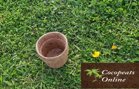 AussieSuperStore Homeware Supplies Coir Seedling Cup Coir Seedling Cup | Coir Seed Germination Cup | Coco Cup Planting Pots SEEDCUP SEEDCUP