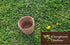 AussieSuperStore Homeware Supplies Coir Seedling Cup Coir Seedling Cup | Coir Seed Germination Cup | Coco Cup Planting Pots SEEDCUP SEEDCUP