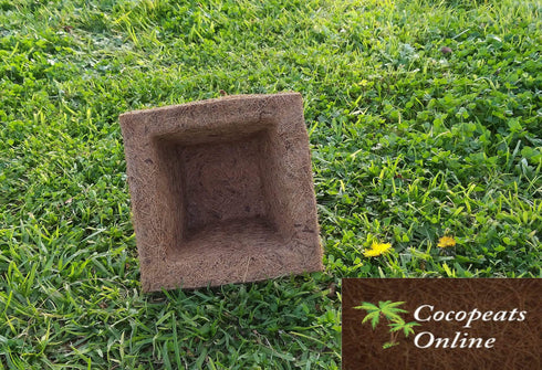 AussieSuperStore Homeware Supplies Coir Spanish Cup (in 2 sizes) Coir Spanish Cup (in 2 sizes) | Coir Seed Germination Cup | Coco Planting Pots