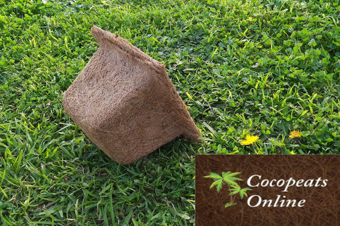 AussieSuperStore Homeware Supplies Coir Spanish Cup (in 2 sizes) Coir Spanish Cup (in 2 sizes) | Coir Seed Germination Cup | Coco Planting Pots