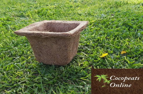 AussieSuperStore Homeware Supplies Coir Spanish Cup (in 2 sizes) Coir Spanish Cup (in 2 sizes) | Coir Seed Germination Cup | Coco Planting Pots