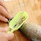 AussieSuperStore Homeware Supplies Fish Skin Scraping Brush Graters Fast Remove Kitchen Tool Gadgets CBFISHSCALEBRUSH