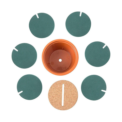 AussieSuperStore Homeware Supplies Quirky Designer Cactus Creative Coasters Set with Storage Display Stand Quirky Designer Cactus Creative Coaster Set with Storage Display Stand CBCATUCOASTER