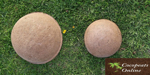 AussieSuperStore Homeware Supplies Replacement Coir Liner (in 3 sizes) Replacement Coir Liner (in 3 sizes) | Replacement for Hanging Baskets | Coir Pots