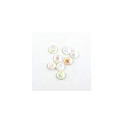 AussieSuperStore Jewellery Making Supplies Natural AB Bead Shell Disc 10mm (in 4 colours) Bead Shell Disc 10m | Jewellery Making Beads Supplies | cabochon 9323823101671 SHE001