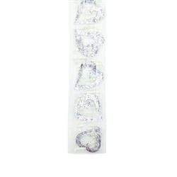 AussieSuperStore Party Essentials Organza with Hearts White/Sliver Ribbon Organza with Hearts White/Sliver Ribbon | Organza Gift Wrapping Ribbon 9331468002383 VHWS20